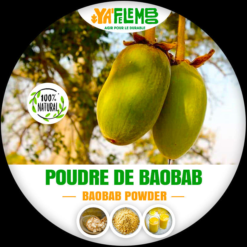 Poudre de Pulpe de Baobab - Superaliment Naturel